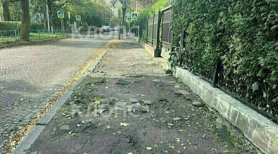 Губернатор проверил состояние Коммунальной и указал на многочисленные дефекты дорожного покрытия