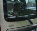 В Калининграде начали работать мобильные камеры нового поколения