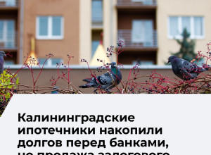 Продажи залоговых квартир в Калининградской области резко сократились в первом полугодии 2026 года