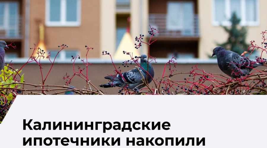 Продажи залоговых квартир в Калининградской области резко сократились в первом полугодии 2026 года