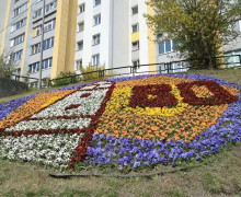 К 80-летию региона в Калининграде создают тематические цветники