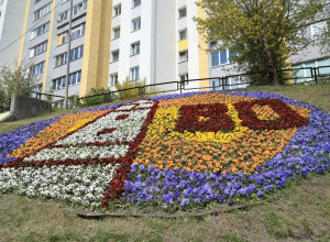 К 80-летию региона в Калининграде создают тематические цветники