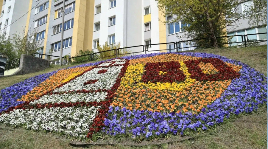 К 80-летию региона в Калининграде создают тематические цветники