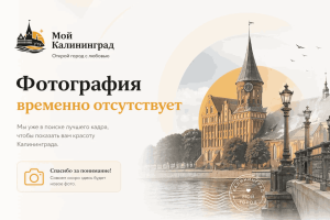 New, магазин-сток 