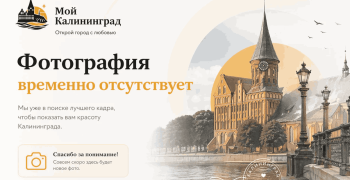 Уголовное дело возбуждено после вспышки сальмонеллёза в частном детском центре Калининграда