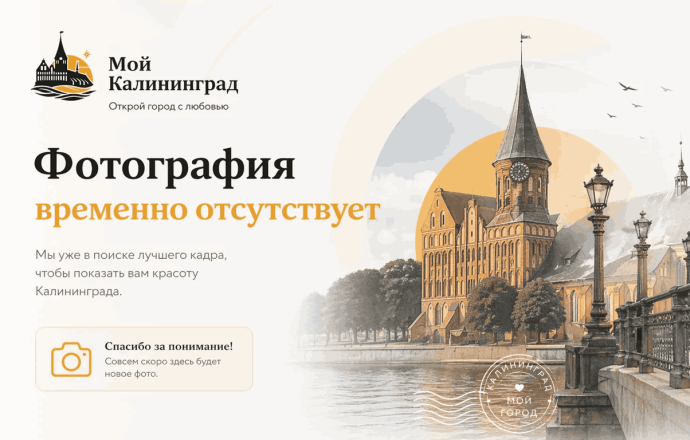 Потерялась собака, кобель, окрас черный