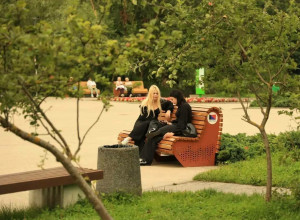 На Летнем озере в Калининграде установили скамейки со спинками для удобства посетителей