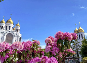 Площадь Победы в Калининграде украсили цветущие рододендроны, у Кафедрального собора установили памятник князю Владимиру
