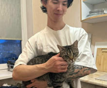 Кот Борис из калининградского кафе выздоровел после полугода лечения