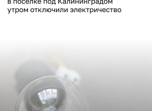 Жительница Большого Исаково сообщила об отключении электричества из-за повреждения сетей в Гурьевском районе