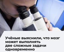 Ученые опровергли миф о невозможности многозадачности мозга