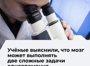 Ученые опровергли миф о невозможности многозадачности мозга