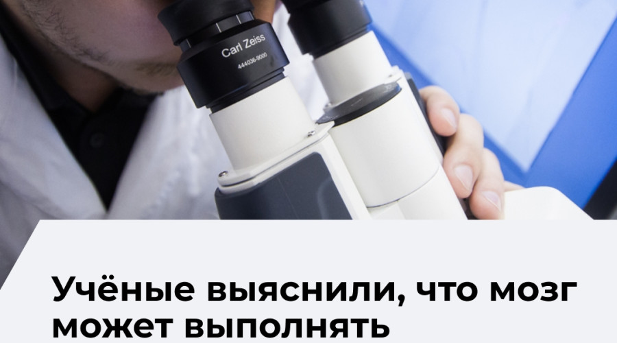 Ученые опровергли миф о невозможности многозадачности мозга