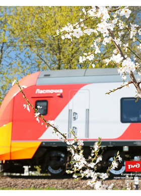 С 15 апреля в Калининграде запускают дополнительные пригородные поезда