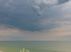 Зелень моря