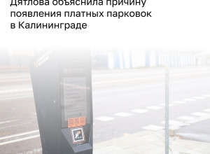 Платные парковки в Калининграде вводят для упорядочения дорожного движения, а не ради доходов бюджета