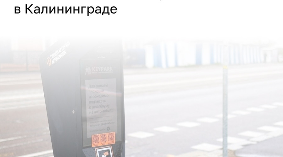 Платные парковки в Калининграде вводят для упорядочения дорожного движения, а не ради доходов бюджета