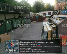 Вонь и насекомые: 6 мест в Калининграде, где в борьбе за место под солнцем выиграл мусор