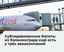 Льготные авиабилеты из Калининграда пока доступны у ряда перевозчиков