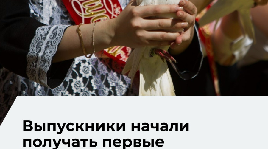 Результаты ЕГЭ по истории, литературе и химии стали доступны выпускникам