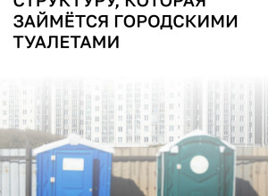 В Калининграде предложили создать единую службу для общественных туалетов