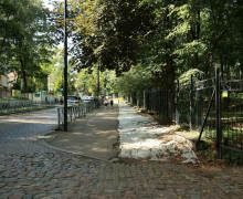 В Калининграде газоны защищают от птиц нетканым материалом