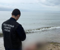 СК проводит проверку после гибели калининградца, спасшего мальчика на пляже в Сокольниках