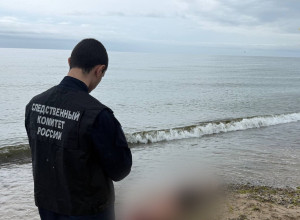 СК проводит проверку после гибели калининградца, спасшего мальчика на пляже в Сокольниках