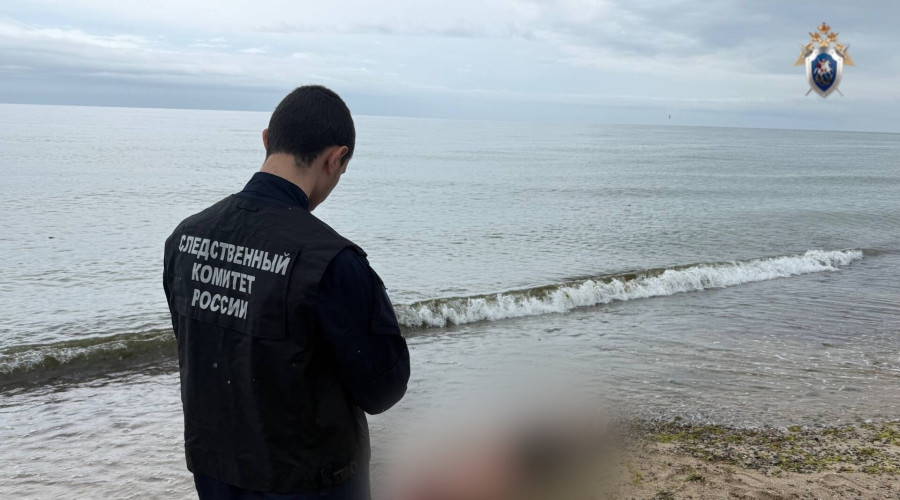 СК проводит проверку после гибели калининградца, спасшего мальчика на пляже в Сокольниках
