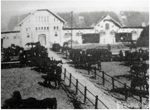 Поселок Львовский: история бывшего Гудваллена