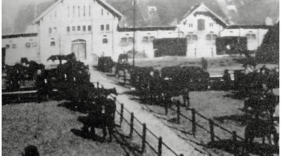 Поселок Львовский: история бывшего Гудваллена