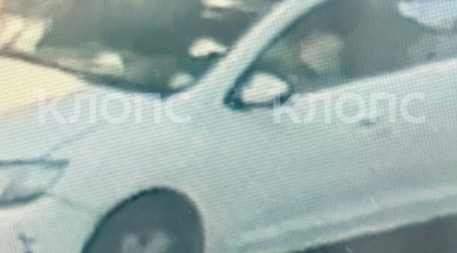 В Калининграде разыскивают водителя Renault, покинувшего место ДТП с мотоциклистом