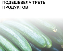 В Калининградской области зафиксировали снижение цен на ряд продуктов