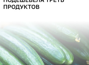 В Калининградской области зафиксировали снижение цен на ряд продуктов