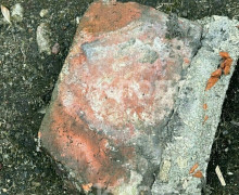 В Калининграде ворона уронила кирпич с крыши рядом с ребёнком