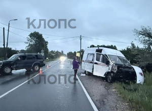 В Немане возбудили уголовное дело против водителя, столкнувшегося со скорой с матерью и ребёнком