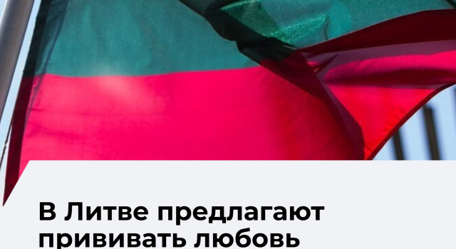 В Литве предложили в десять раз увеличить штрафы за отсутствие флага в праздники