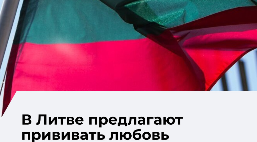 В Литве предложили в десять раз увеличить штрафы за отсутствие флага в праздники