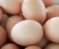 В преддверии Пасхи в Калининградской области снизят цены на яйца