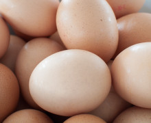 В преддверии Пасхи в Калининградской области снизят цены на яйца