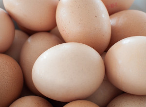 В преддверии Пасхи в Калининградской области снизят цены на яйца