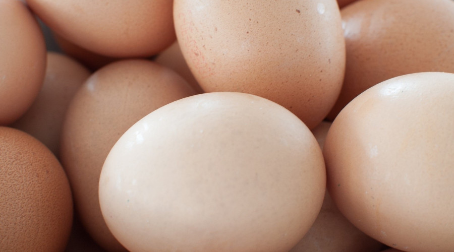 В преддверии Пасхи в Калининградской области снизят цены на яйца