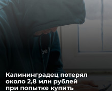 Житель Калининграда перевел мошенникам более 2,8 млн рублей при покупке Honda Civic