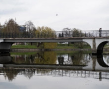 Нижнее озеро в Калининграде значительно обмелело