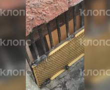 В Советске кошка с котятами оказалась заперта в подвале после действий УК