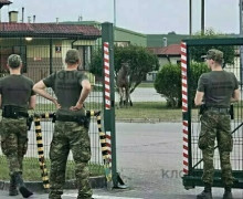 Лось попытался пересечь границу через пункт пропуска в Безледах, но был остановлен