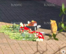 Цветы и игрушки несут к гимназии в Калининграде, где училась погибшая 14-летняя школьница