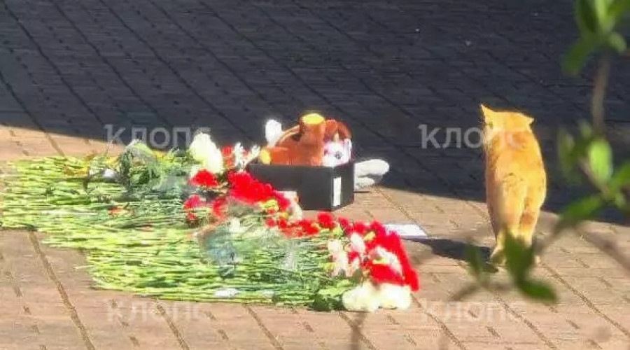 Цветы и игрушки несут к гимназии в Калининграде, где училась погибшая 14-летняя школьница