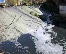 Жители Калининграда сообщают о загрязнении и запахе в Гагаринском ручье