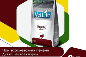 Продам Фармину гепатик для кошечки